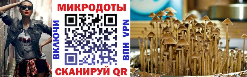Галлюциногенные грибы мухоморы  Похвистнево 